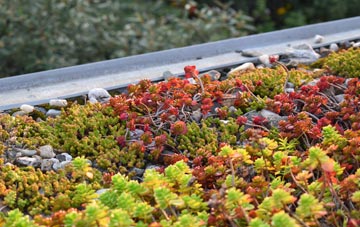 the cost of Portswood green roof installation